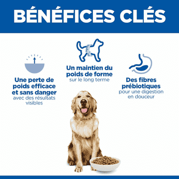 Canine Adult Perfect Weight Large Breed