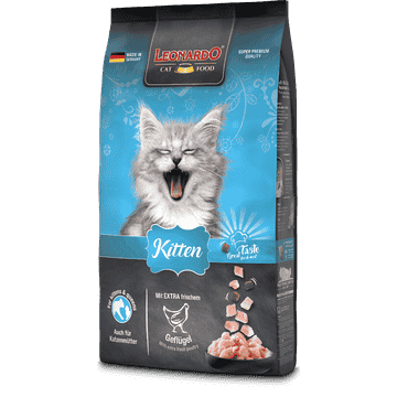 Kitten avec Volaille
