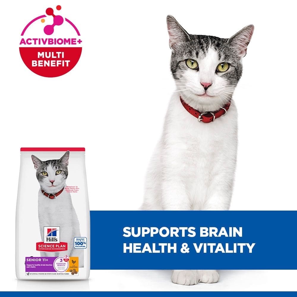 Feline Senior 11+