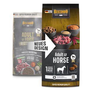 Adult GF Horse