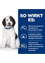 Canine c/d Multicare Urinary Care