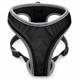 Geschirr Sport Soi Uni schwarz