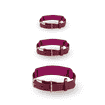 Signature BioThane Halsband wild berry