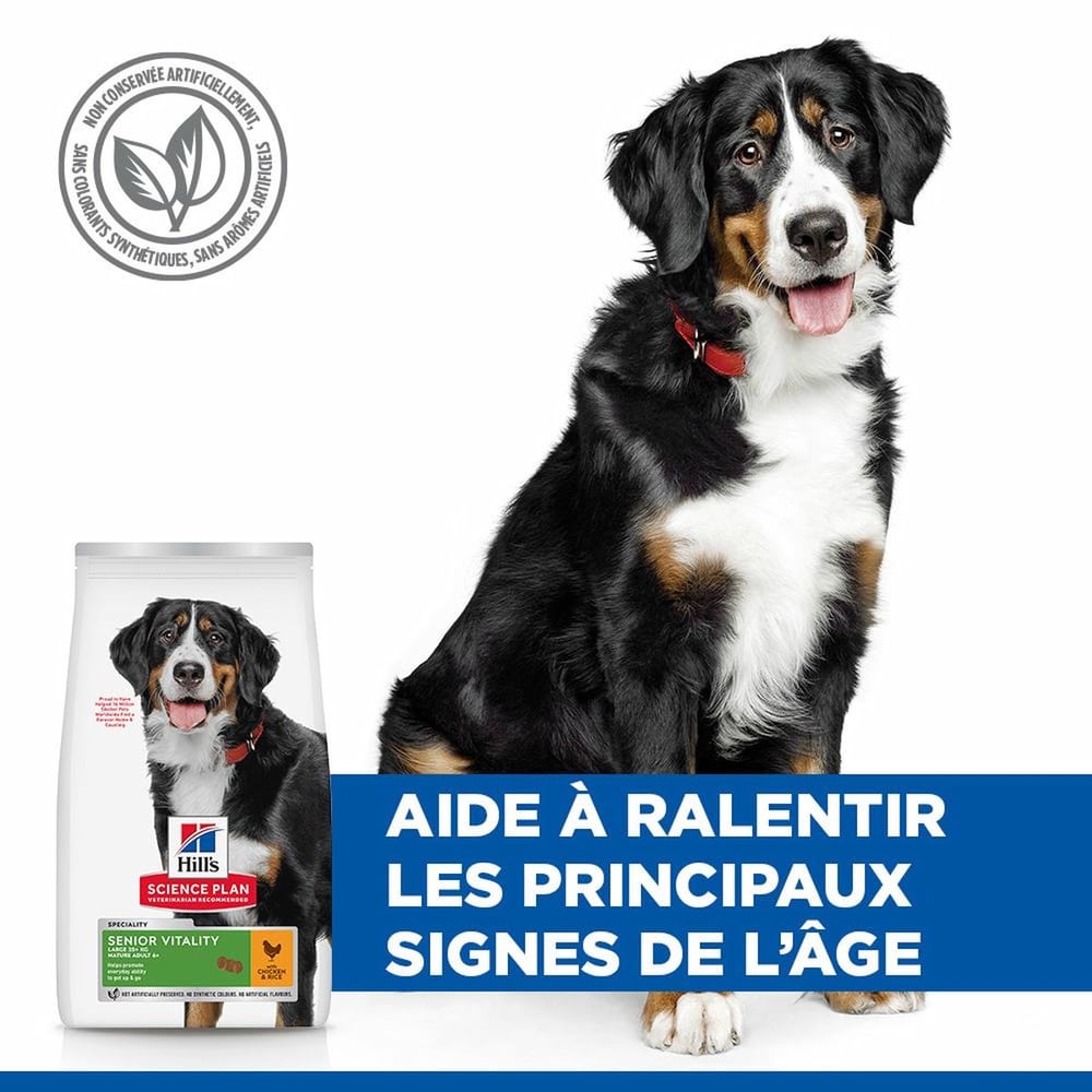 Canine Senior Vitality 6+ Large Breed