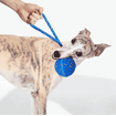 Wicked Ball Air Rope