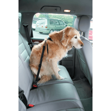Sicherheitsgeschirr DogSafe für Hunde