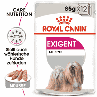 Exigent Wet