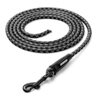 Laisse Rope Training