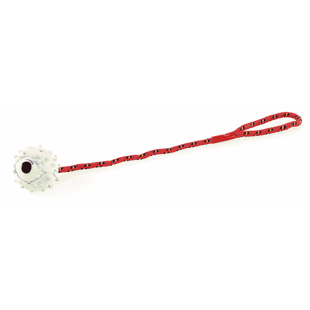 Balle à picots avec corde et clochette