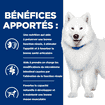 Canine k/d + j/d Kidney + Mobility