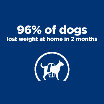 Canine Metabolic Weight loss & Maintenance Chicken - Dose