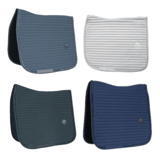 Chabraque Pearls demi-sang/dressage