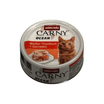 Carny Ocean Adult Cat