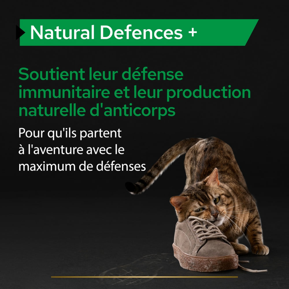 Cat Natural Defences +