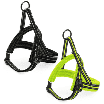 Geschirr Nordic Sport L