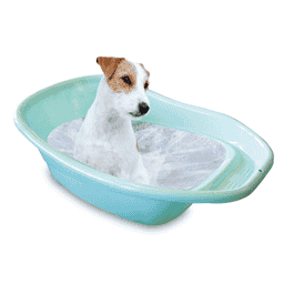 swisspet Badewanne für kleine Hunde