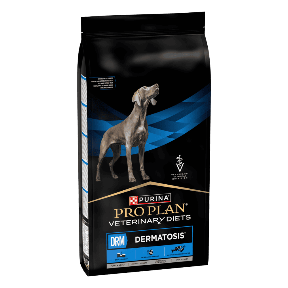 CANINE DRM Dermatosis