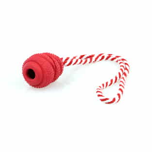 Mighty Champer mit Seil