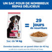 Canine Adult Large Breed Lamb & Rice