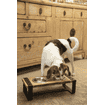 Set de gamelles en bois pour chiens Karinto