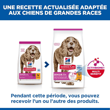 Canine Senior 11+ Small & Mini Breed