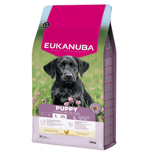 Puppy Large & Giant Breed