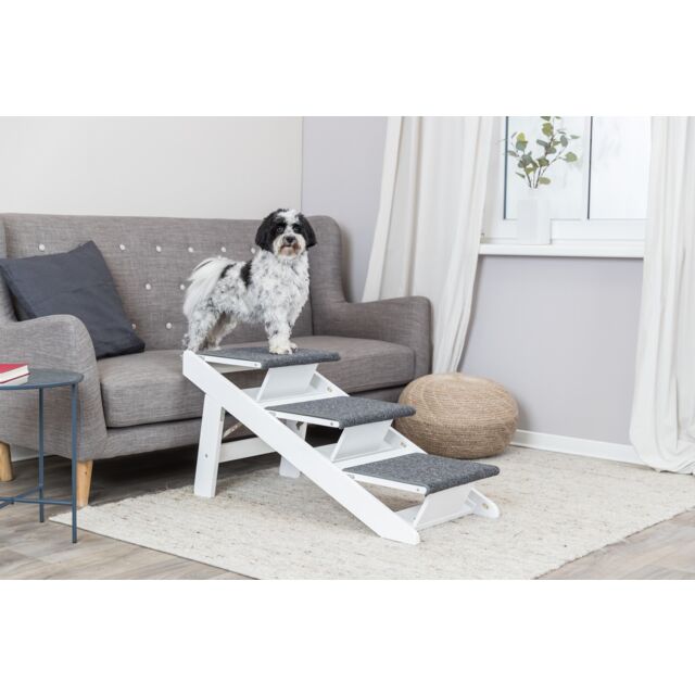 Ramp with fold-out steps