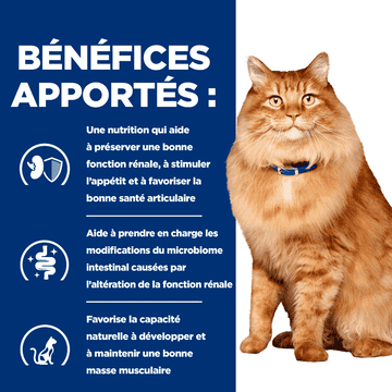 Feline k/d + j/d Kidney + Mobility