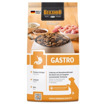 Gastro Dog Dry