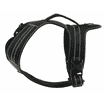Harness Adven, black L