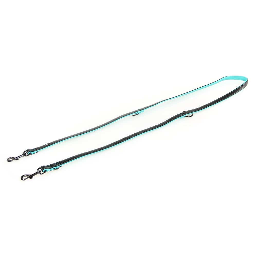 laisse Dover
