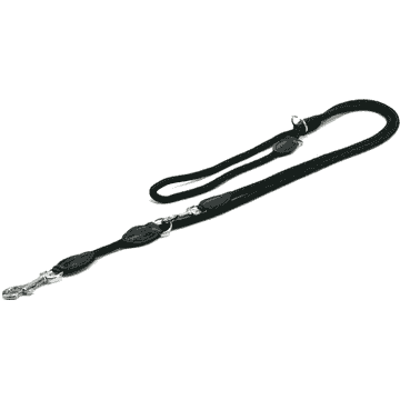 Leash Fun Royal