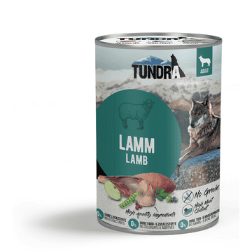 Dog Lamm - Boîte