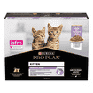 Kitten Healthy Start Truthahn