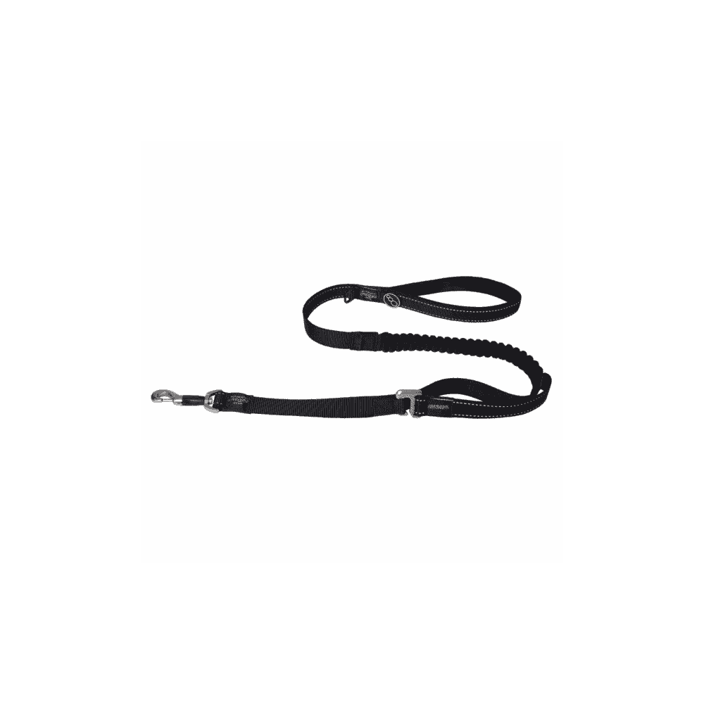 Dog leash Utility Control