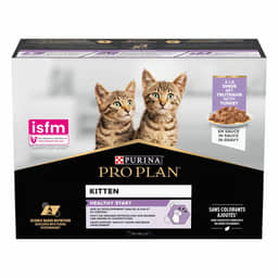 Kitten Healthy Start Truthahn