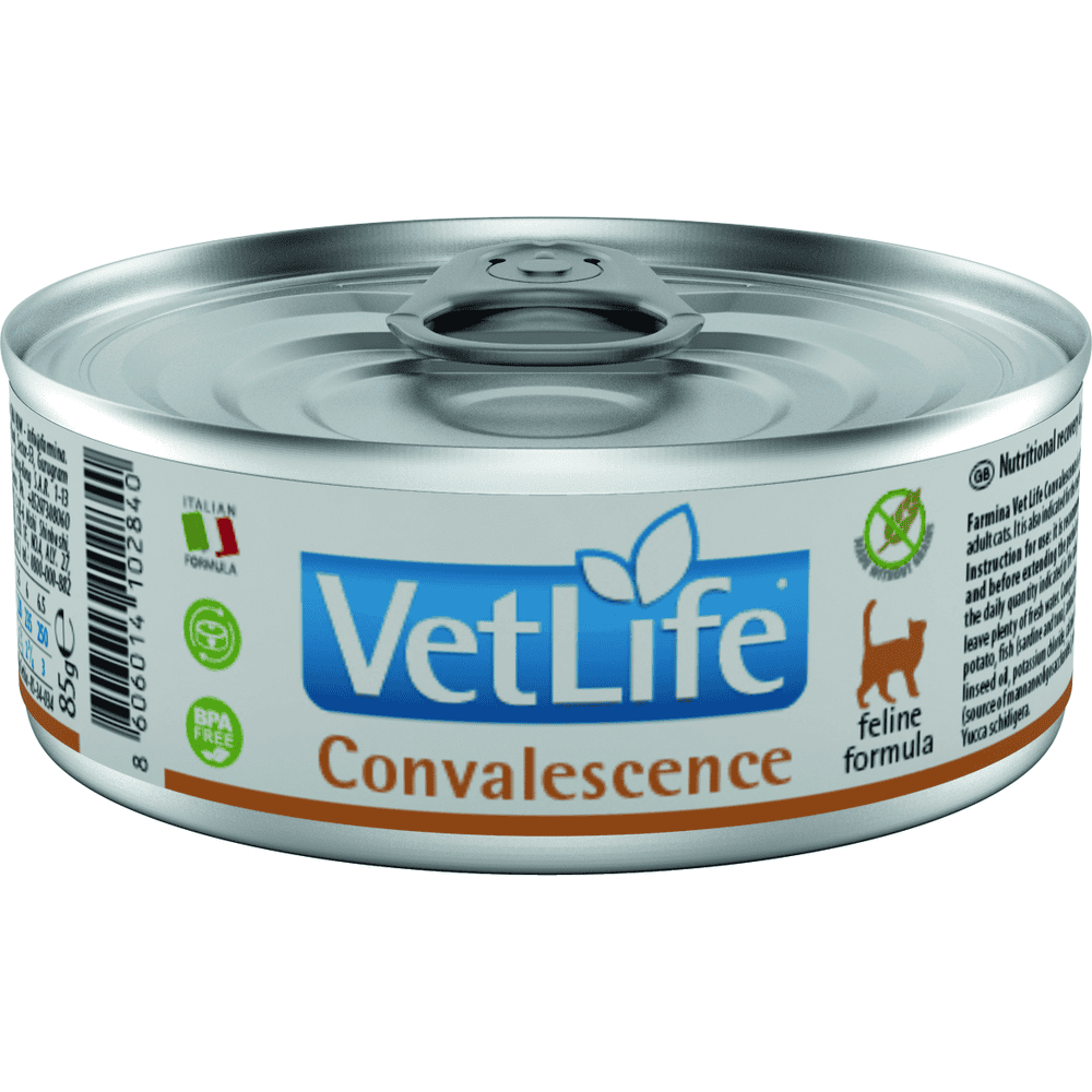 Feline Convalescence - Dose