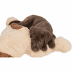 Ankuschelhund Benny