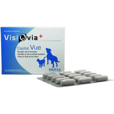 Visiovia