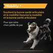 Dog Mobility +