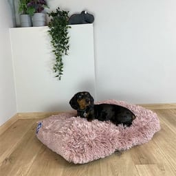 Coussin pour chien Snug
