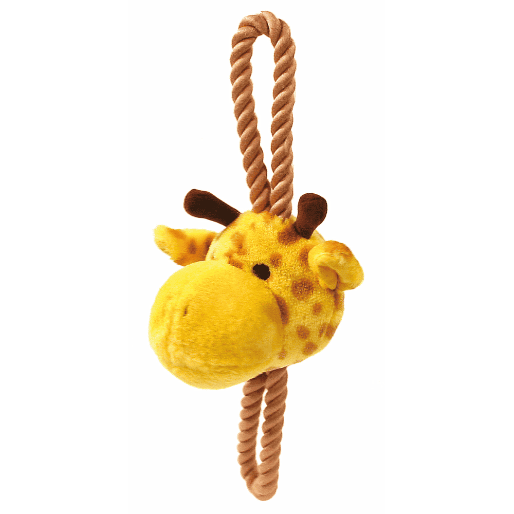 Animal on a rope