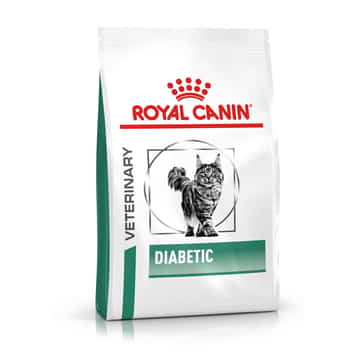 Diabetic Cat