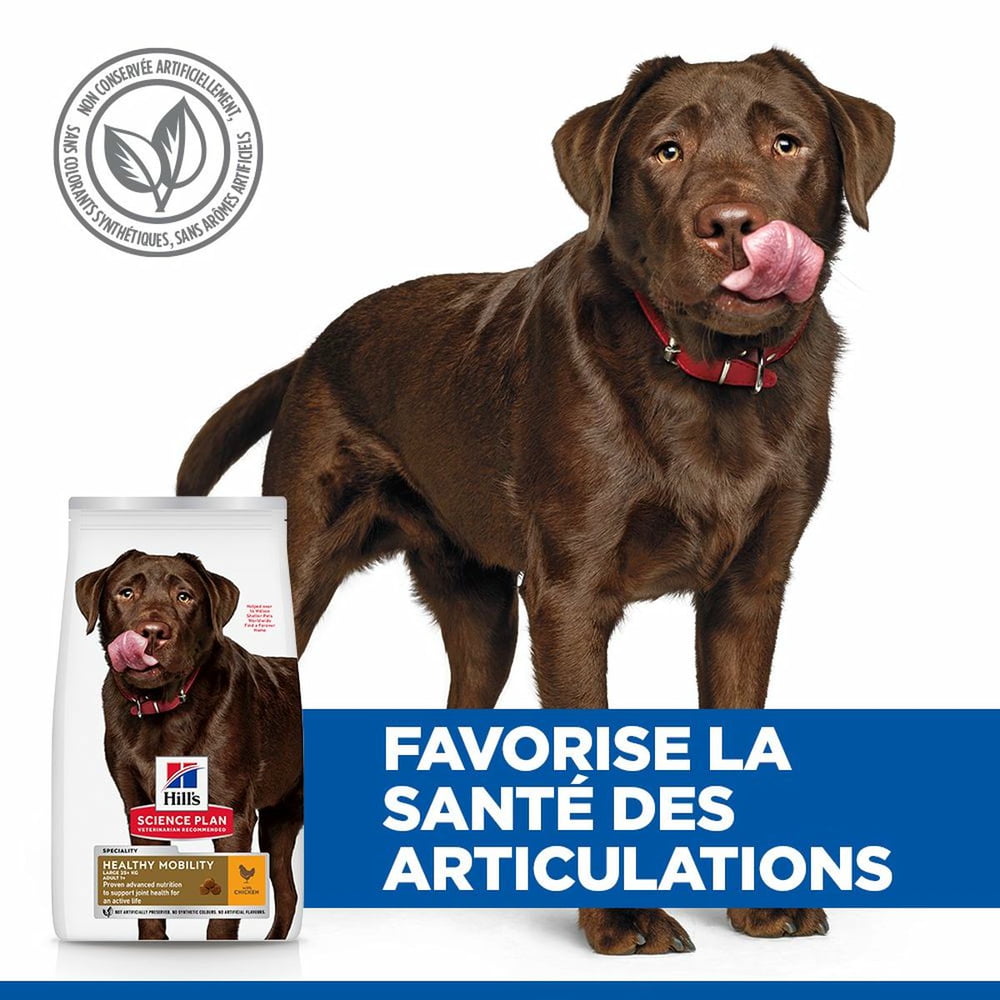 Canine Adult Healthy Mobility Large Breed