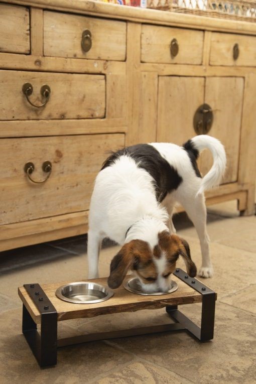 Set de gamelles en bois pour chiens Karinto