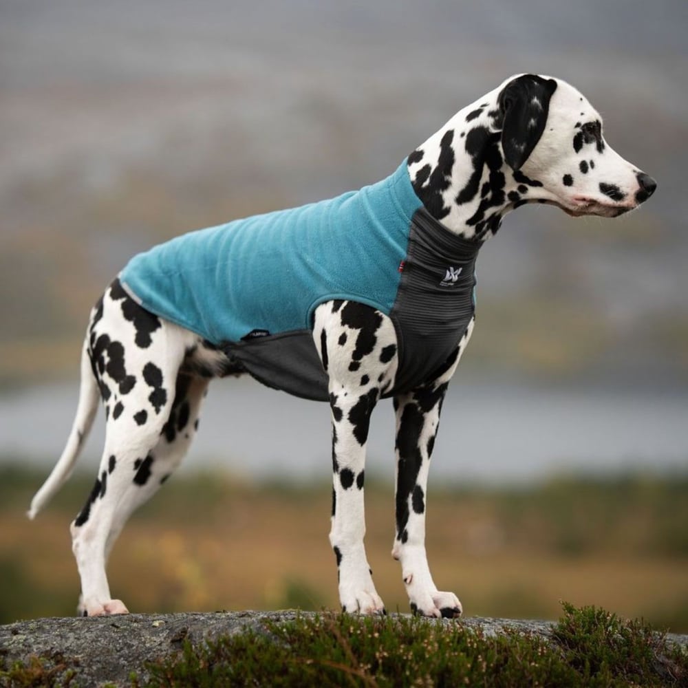 Pull en laine polaire Trail Quest Teal