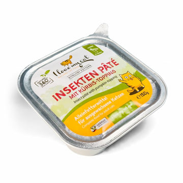 Insect Paté with pumpkin topping