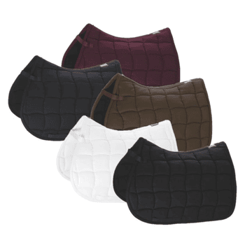Chabraque Performance demi-sang/dressage
