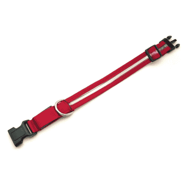 swisspet illuminated collar Redloo