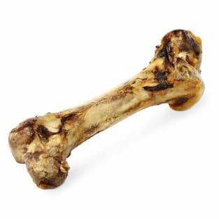 Straussen Knochen XXL